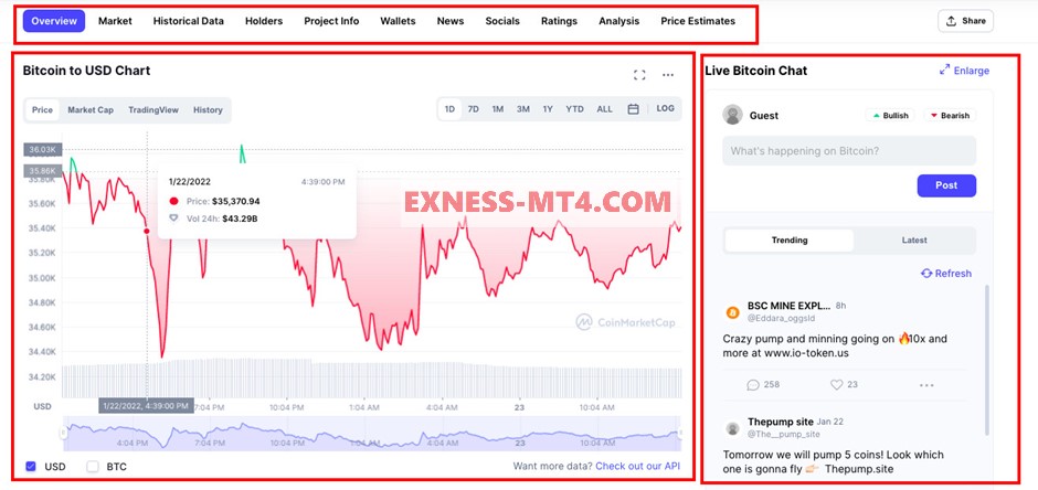 Cách xem thông tin chi tiết của một đồng coin