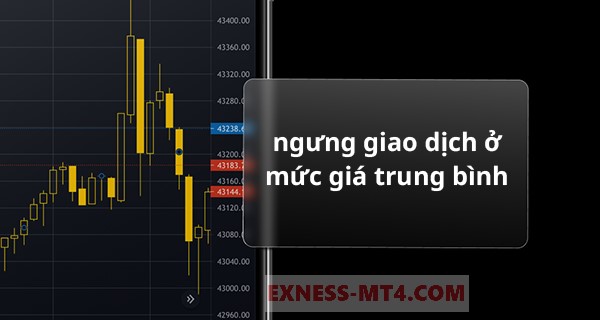 Ngưng giao dịch ở mức giá trung bình- Exness