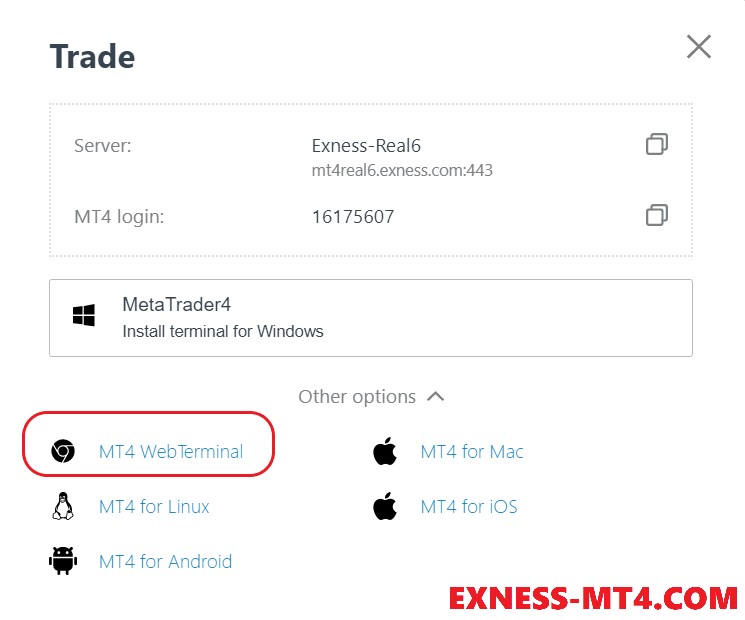 Login to MT4 WebTerminal Exness